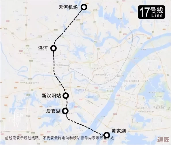 X18和X19：揭秘两款手机的性能表现及用户体验对比