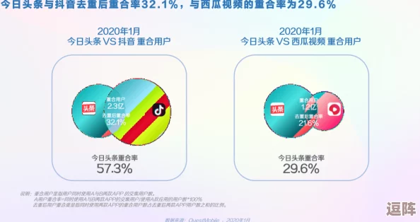 91视频免费观看：网友评价精彩纷呈，真实反馈让你了解更多的视听体验与互动乐趣